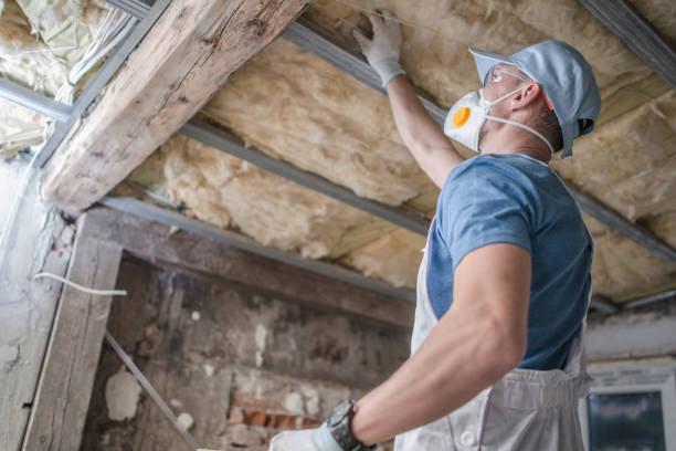 Best Insulation for Specific Applications in Oyster Creek, TX