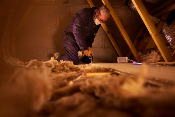 Best Insulation Maintenance and Repair in Oyster Creek, TX